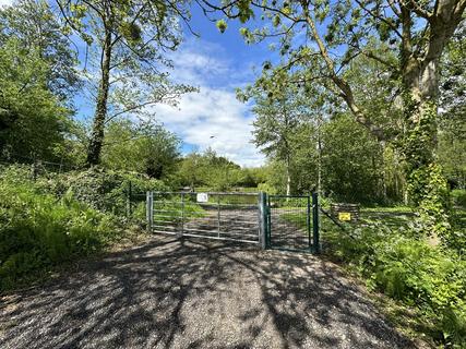 Views of the fishing pond