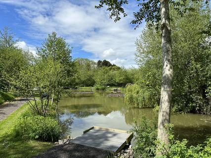 Views of the fishing pond