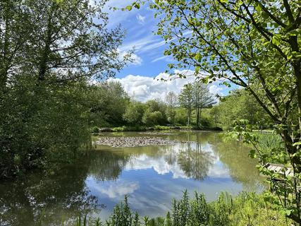 Views of the fishing pond