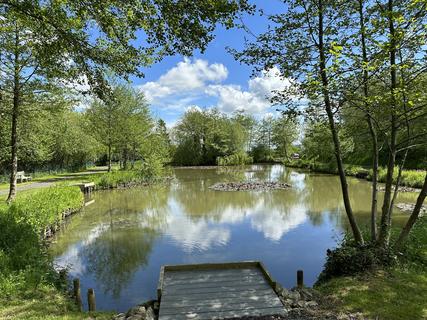 Views of the fishing pond