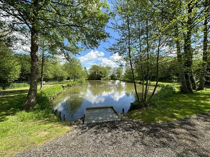 Views of the fishing pond