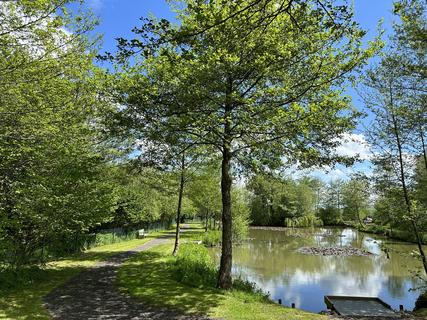 Views of the fishing pond