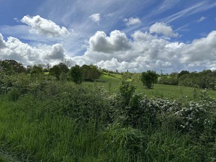 Distant view of the Tor from near the caravan